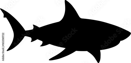 Shark Silhouette Vector Illustration