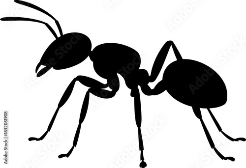 Ant Silhouette Vector Illustration