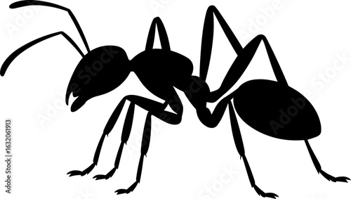 Ant Silhouette Vector Illustration