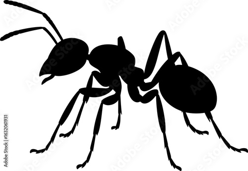 Ant Silhouette Vector Illustration