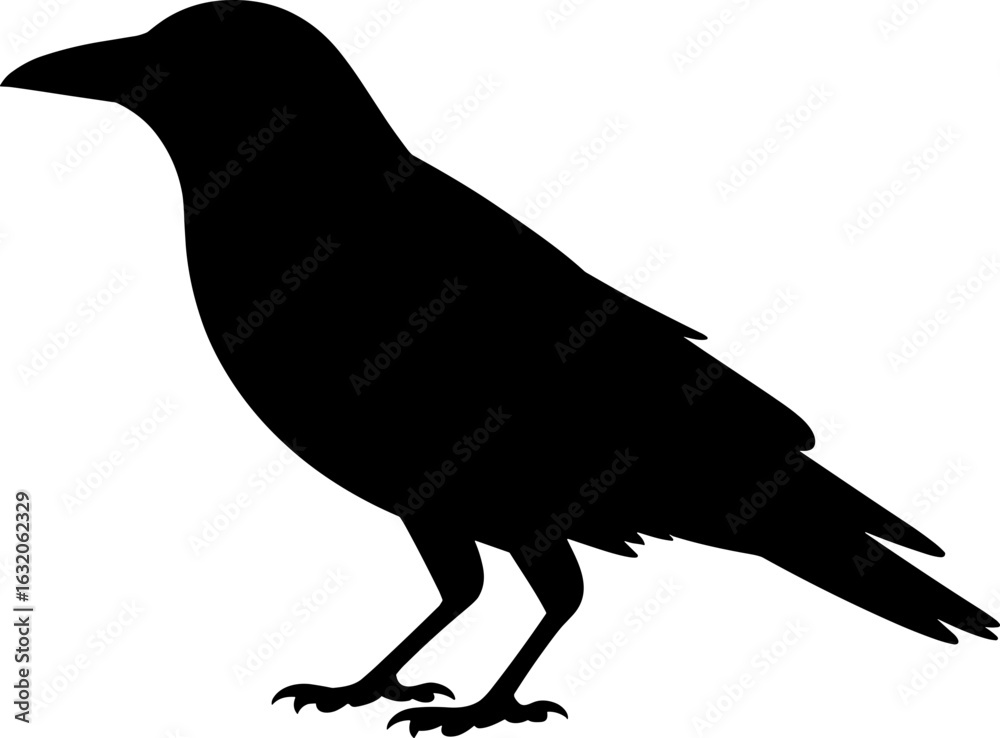 Fototapeta premium Crow Silhouette Vector Illustration