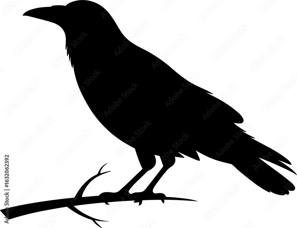 Obraz premium Crow Silhouette Vector Illustration