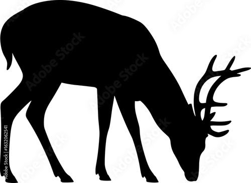 Deer Silhouette Vector Illustration