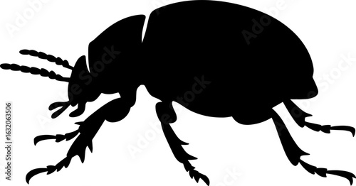 Beetle Silhouette Vector Illustration