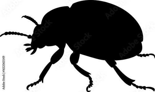 Beetle Silhouette Vector Illustration