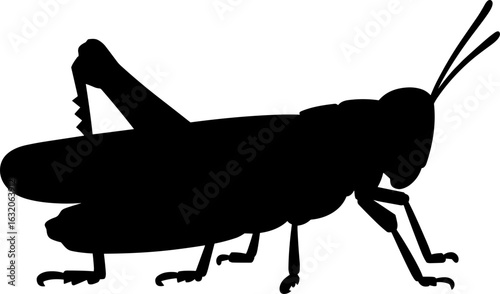 Grasshopper Silhouette Vector Illustration