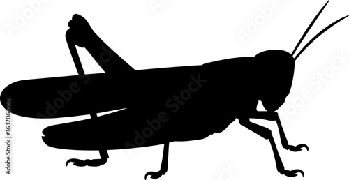 Grasshopper Silhouette Vector Illustration