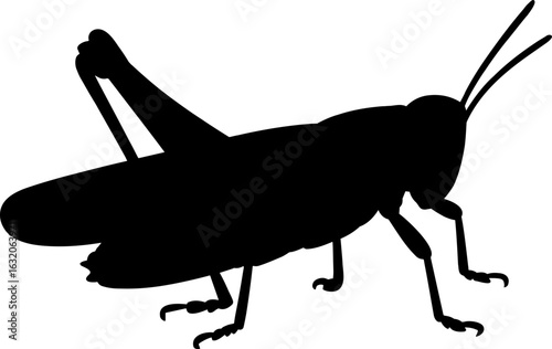 Grasshopper Silhouette Vector Illustration