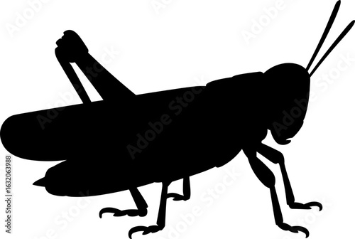Grasshopper Silhouette Vector Illustration
