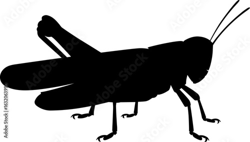 Grasshopper Silhouette Vector Illustration