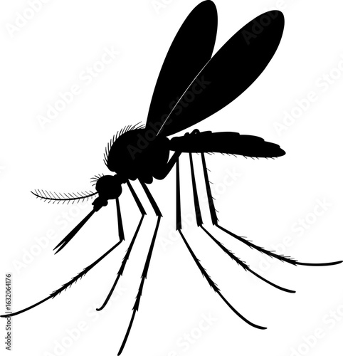 Mosquito Silhouette Vector Illustration