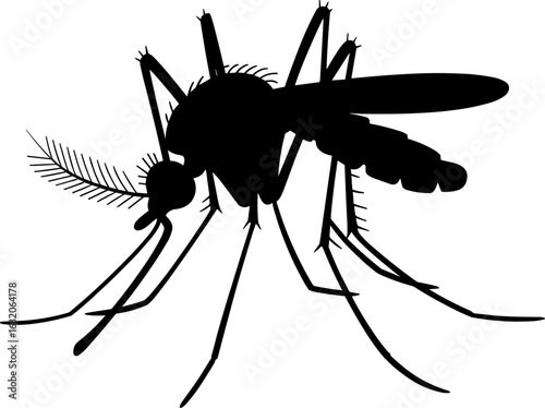 Mosquito Silhouette Vector Illustration