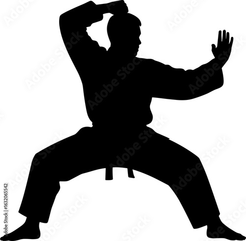 Karate Martial Art Silhouette Vector Illustration