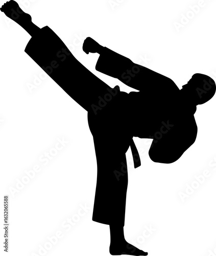 Karate Martial Art Silhouette Vector Illustration