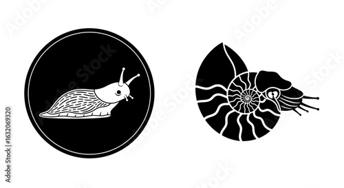 A black and white graphic design featuring two mollusks: a cartoon slug in a circle and a stylized nautilus.