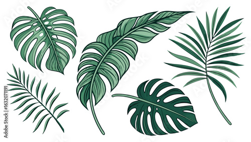 Collection of Tropical Leaves in Vibrant Greens.