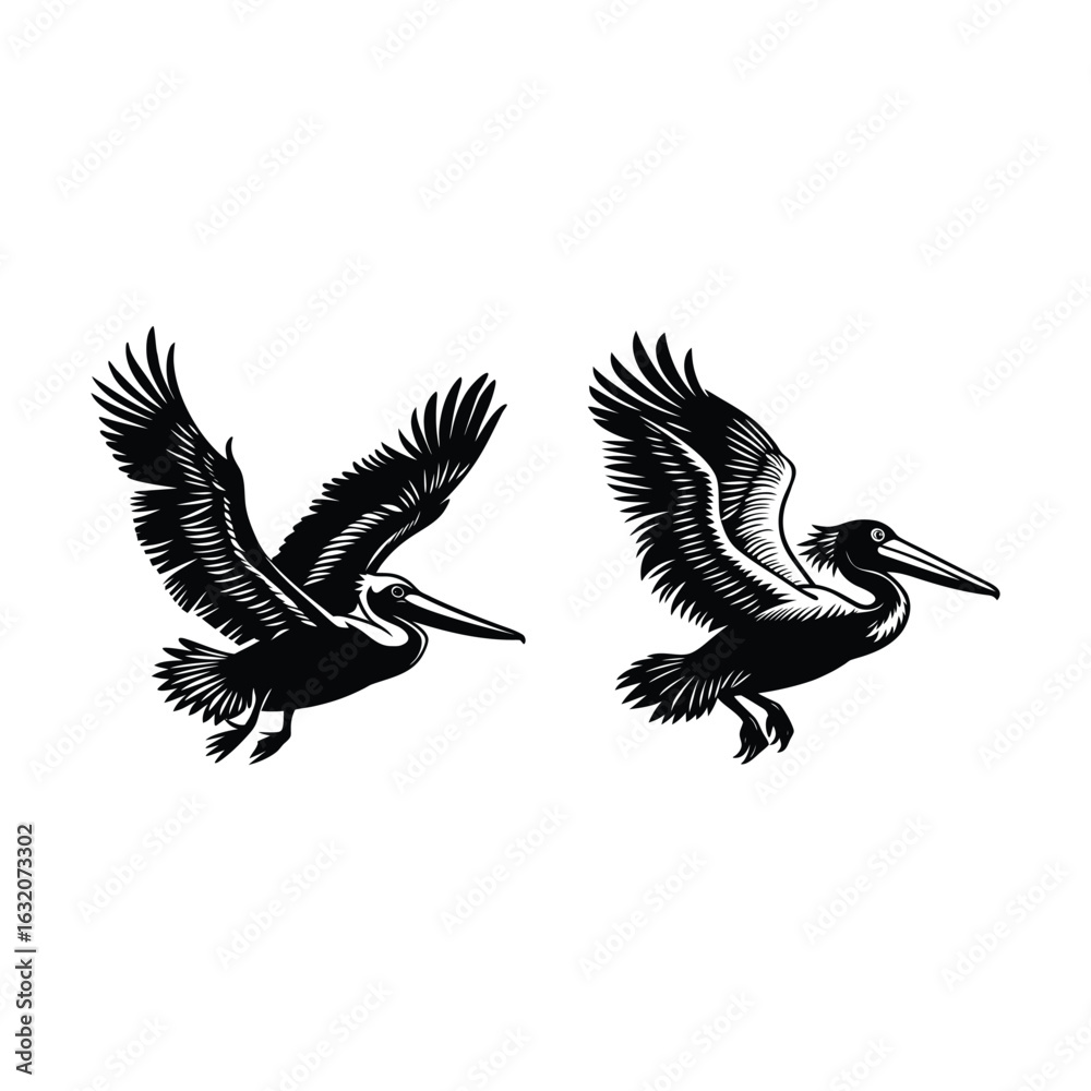 Obraz premium Animal Bundle