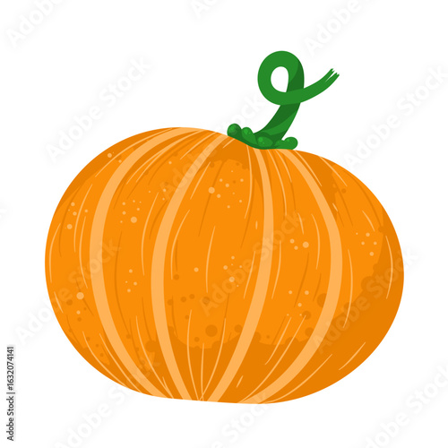 Orange pumpkin -  vector illustration