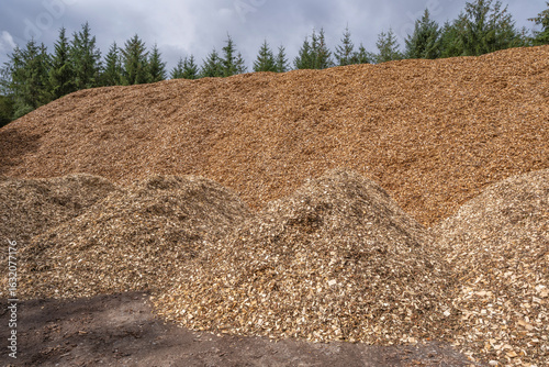 Huge mulch pile from spruce trees, with blue sky and white clouds, Denmark, July 2025