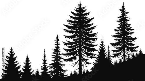 Silhouette of Evergreen Trees Depicting a Forest Landscape.