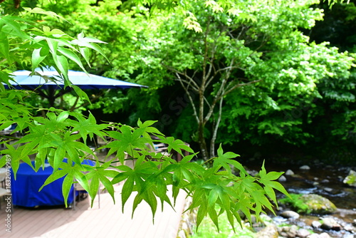 Japanese maple leaves frame a tranquil outdoor patio with stream.