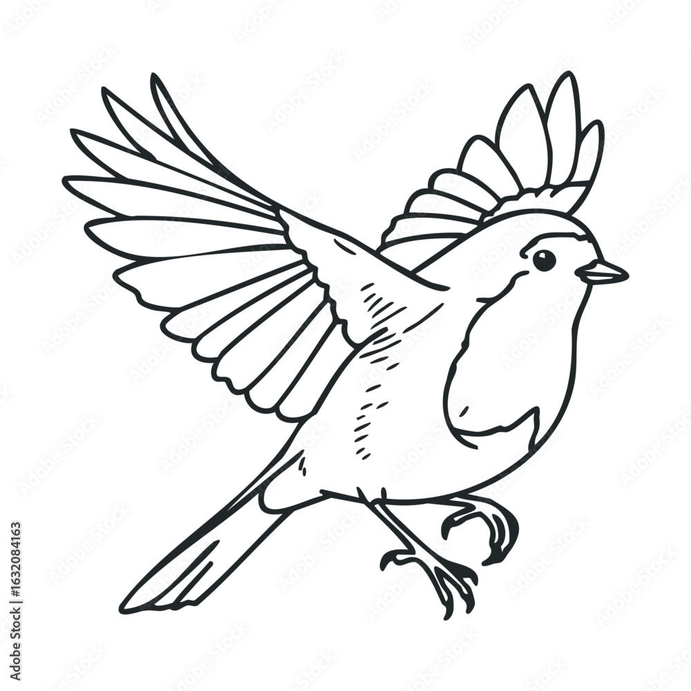 Fototapeta premium Line art of flying bird with spread wings