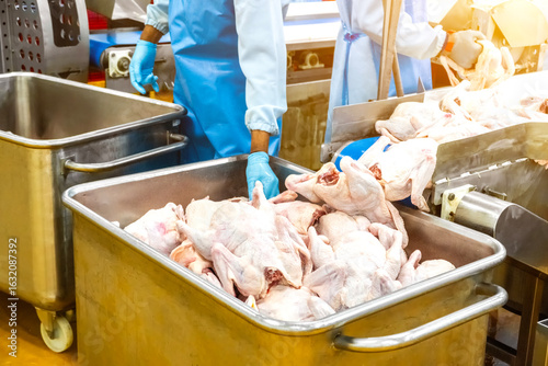 Fototapeta Modern poultry processing plant