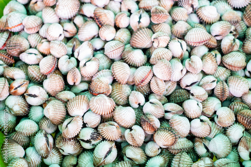 Fresh blood cockles (Anadara granosa) piled together for sale at a seafood market, showcasing natural textures and patterns of the shells.
