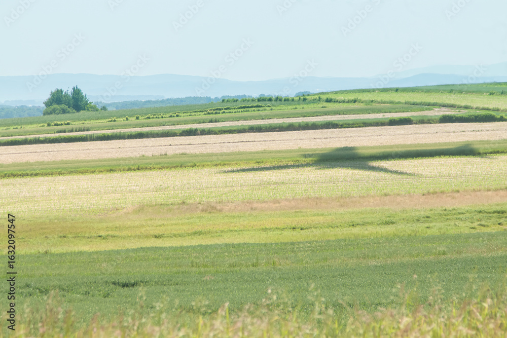 Fototapeta premium Poland, Krakow, Balice Airport, Shadow af a Landing Aircraft
