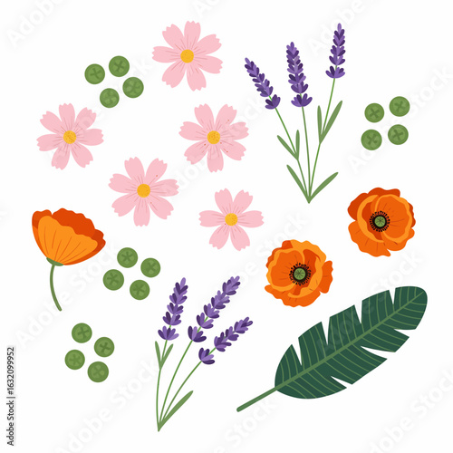 An arrangement of illustrated flowers including pink cosmos, orange poppies, purple lavender, green leaves, and small green circles on a white background.
