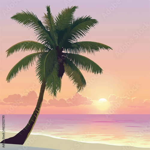 a coconut tree by the sunset