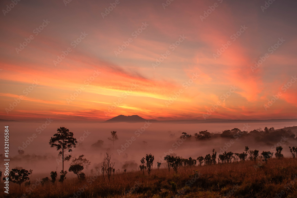 Obraz premium A breathtaking view of a misty valley during sunrise, with glowing orange skies and silhouetted trees in the foreground.