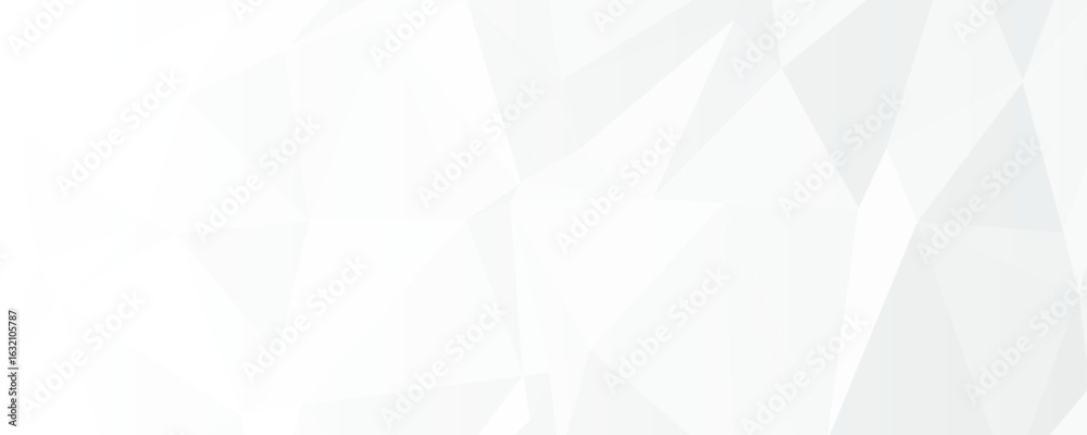 Fototapeta premium Abstract white Geometric banner design background.
