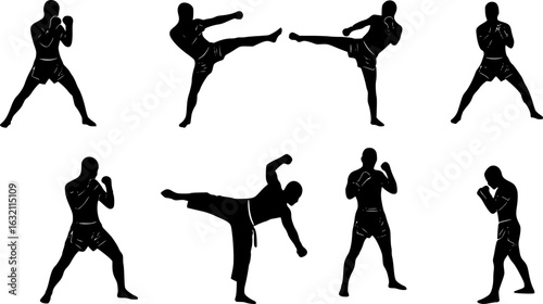 Karate silhouette vector in illustration
