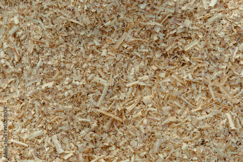 Photos Close up of small wood shavings creating natural texture