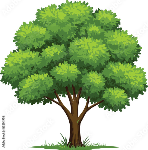 Green tree illustration, vibrant foliage, isolated plant, summer nape element,