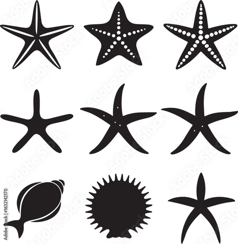 Black Starfish and Shell Silhouettes Set