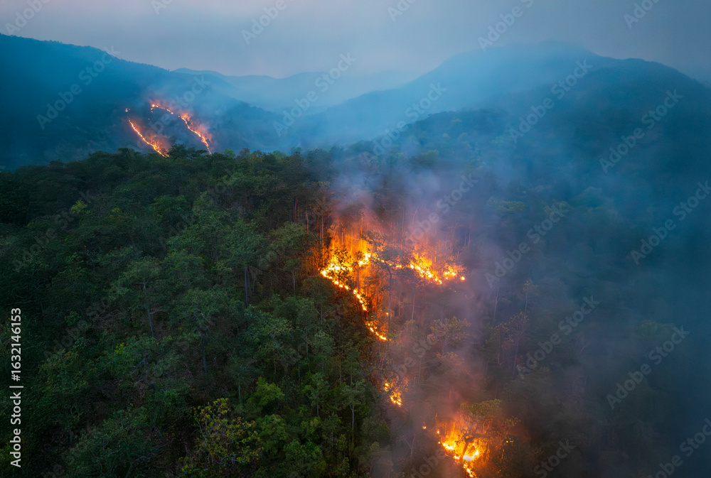 Fototapeta premium Wildfires release carbon dioxide (CO2) emissions and other greenhouse gases (GHG) that contribute to climate change.
