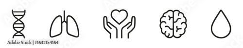 Healthcare And Human Organs Outline Vector Icon Set