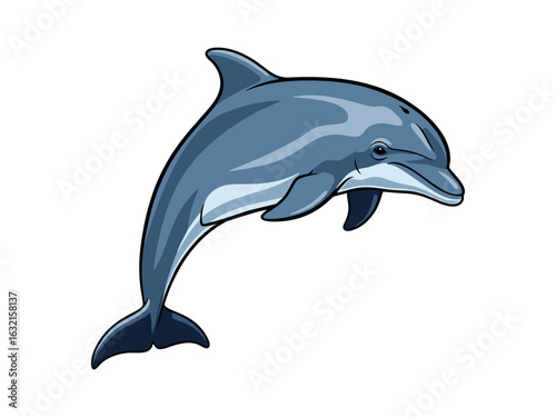 dolphin isolated on white background
