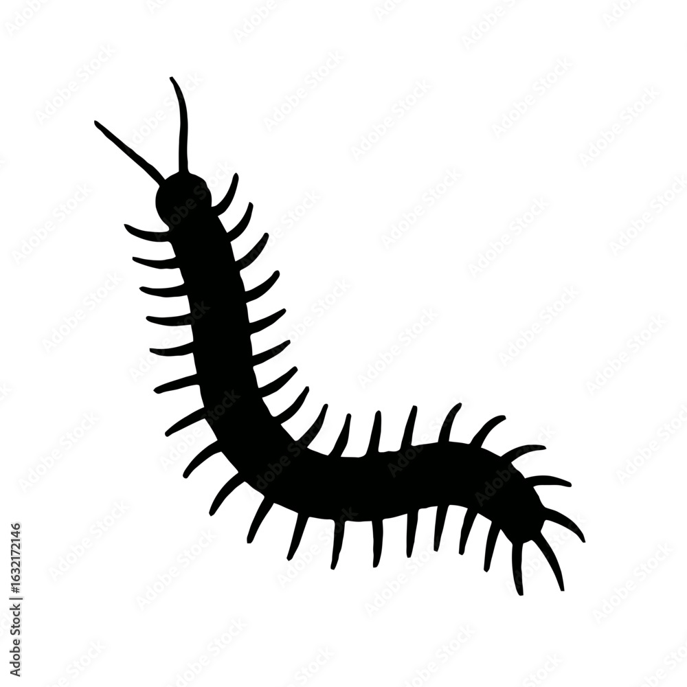 Fototapeta premium very simple flat and single minimalist Centipede Silhouettes in black on a white background
