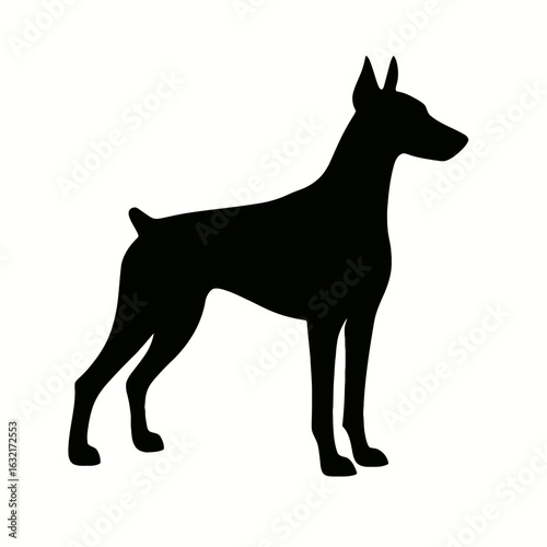 very simple flat and single minimalist Doberman Pinscher Silhouettes in black on a white background