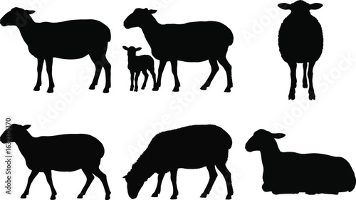 Sheep silhouette vector set with standing, grazing, and resting sheep and lamb in various poses isolated on white background