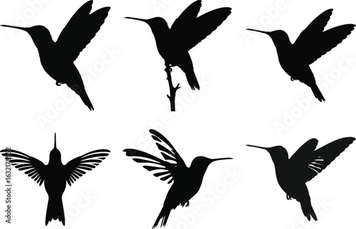 Hummingbird silhouette vector set with flying, perching, and hovering birds in various poses isolated on white background