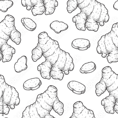 Ginger root sketch. Seamless pattern. Hand drawn vector illustration. Kitchen spice