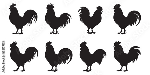 chicken, rooster, vector silhouettes
