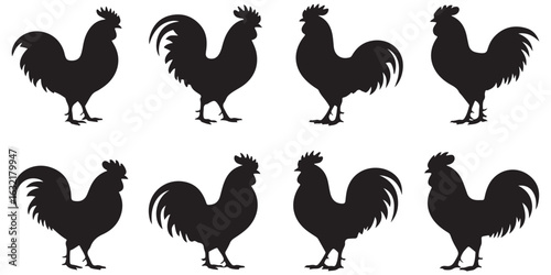 chicken, rooster, vector silhouettes
