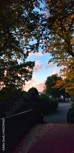 sunset in the park