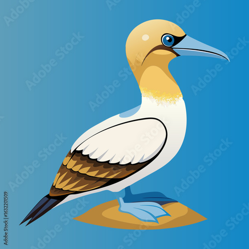 Download Australasian Gannet Bird Vector Art Illustration . This Icon Concept Isolated Premium Vector. Flat Cartoon Style Svg File For Design.