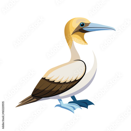Download Australasian Gannet Bird Vector Art Illustration . This Icon Concept Isolated Premium Vector. Flat Cartoon Style Svg File For Design.